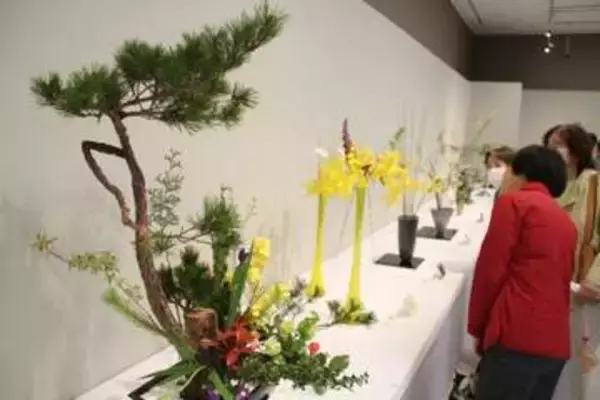 色とりどり 花の美際立つ　池坊岡山県連合支部華道展開幕