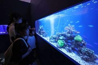 天満屋岡山店「すいぞくえん」開幕 　熱帯魚やペンギン50種千匹展示