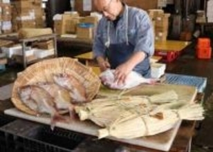 瀬戸内海から春の便り　桜色のマダイで浜焼き 笠岡魚市場