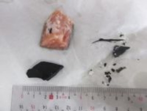 給食具材にプラ片 瀬戸内市教委発表　提供中止 健康被害なし　