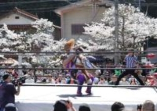 桜とプロレスのマッチ 新庄で大会　アジャコングさんら22人が迫力の技披露