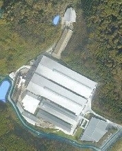 津山の養鶏場 鳥インフル陽性　県内今季初、43万羽処分へ