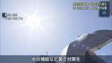 「【速報】静岡市で11日、３０.０℃を記録　本州で今年初めて真夏日に」の画像1