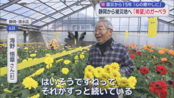 静岡と被災地つなぐガーベラ…花言葉は「希望」　3.11前に贈る600本「命ある限りは続けるつもりでいます」