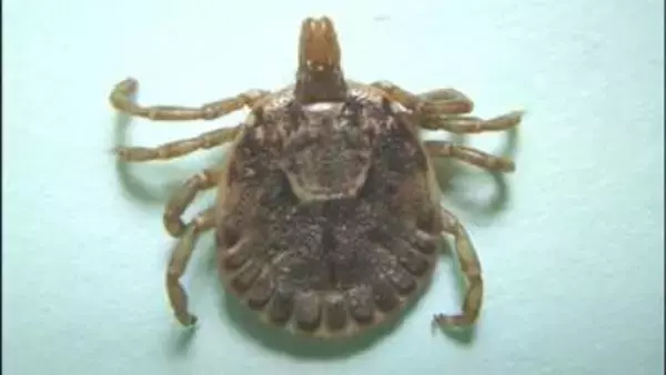 発熱後体を動かすことが困難に…静岡県内で今年2人目の患者確認　マダニ媒介の重症熱性血小板減少症候群