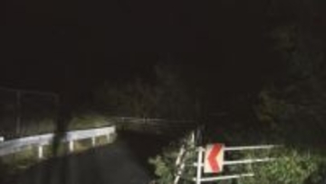 山中に40歳以上の男性の頭蓋骨　周辺を捜索するもほかの部位や遺留品見つからず　静岡市葵区