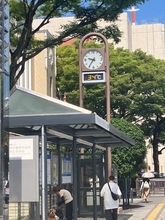 【速報】静岡市で倒れていた高齢女性が意識障害などで重症　熱中症の疑いで17人を救急搬送　静岡
