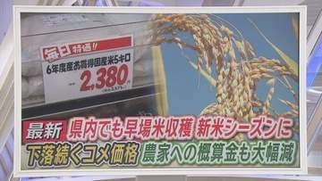 コメは安くなるのに農家は苦しい?　新米シーズンに浮かび上がる矛盾　コメの値下がり加速で農家「このままでは離農も」