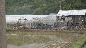 【速報】ビニールハウス火災…消火活動継続中　けが人の情報なし　田んぼの中で延焼の可能性は低い　静岡・伊豆の国市