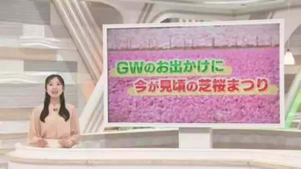 富士山と6種50万株の芝桜を堪能　着物姿で抹茶も　GWオススメスポット　山梨・富士本栖湖リゾート「富士芝桜まつり」