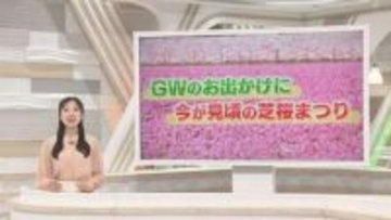 富士山と6種50万株の芝桜を堪能　着物姿で抹茶も　GWオススメスポット　山梨・富士本栖湖リゾート「富士芝桜まつり」
