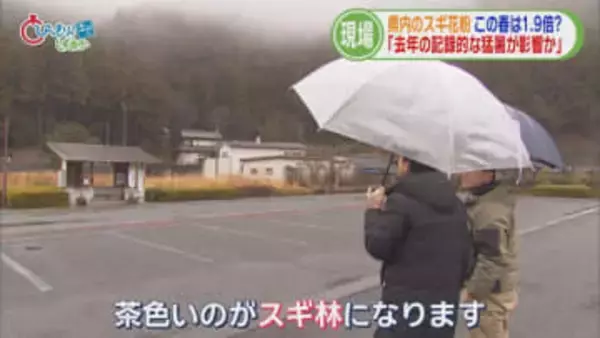 「目や鼻の中がかゆい」…今年の花粉は平年の1.9倍　耳鼻科医「静岡に引っ越してきた患者が多い」　対策グッズのトレンドは？