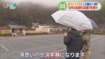 「目や鼻の中がかゆい」…今年の花粉は平年の1.9倍　耳鼻科医「静岡に引っ越してきた患者が多い」　対策グッズのトレンドは？