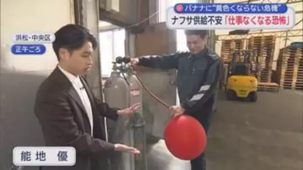 イラン情勢の影響がバナナにまで…黄色く熟成できず出荷ストップの恐れ　エチレンガスが価格10倍で2カ月半待ち