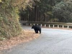 クマの目撃情報　新東名高速道路・清水いはらインターチェンジの東側付近　「ため池に逃げて行った」静岡市清水区