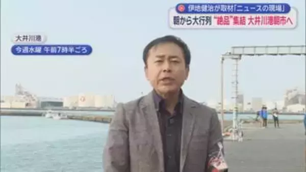 GWの風物詩・大井川港朝市に起きた異変　「生シラスがない!」　ここにきて明るい兆しも…　/ニュースの現場