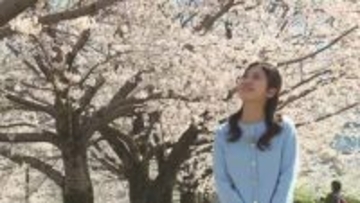 静岡まつり始まる　ここでも『イラン情勢』の影響が…プラスチック容器まで値上がり「でも価格に転嫁できない」　静岡市