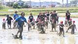 「静岡ブルーレヴズの選手と園児たちが田んぼで交流　「生き物調査・どろんこラグビー体験」が静岡・袋井市で実施」の画像1