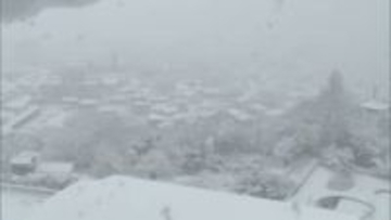 大雪の影響で静岡・伊東市の国道１３５号などが一時通行止め　約１００人が市内の体育館に避難