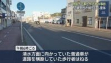 道路を横断していた男性が普通乗用車にはねられ重体に　警察は運転手を過失運転致傷の疑いで逮捕　静岡市葵区