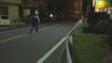 日が落ちて暗かった…高齢女性が車にはねられ意識不明の重体　「はねたかもしれない」と運転手が110番通報　静岡市