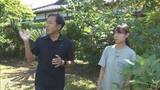 「【衝撃】静岡はアボカド栽培“発祥の地”…温暖な伊豆では60年以上前から栽培　県は去年から「産地化プロジェクト」」の画像1