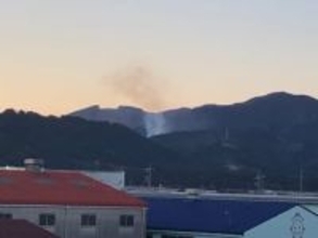 静岡・島田市の山林火災は１１日午後１時ころ鎮火