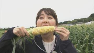 早朝から長蛇の列　“ご当地トウモロコシ”戦国時代！？　フルーツのような甘さの一方、生産現場では甘くない現実が…