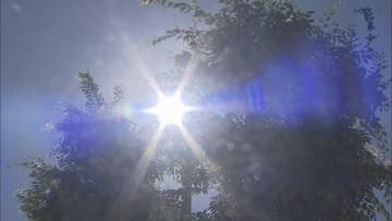 １４人が熱中症やその疑いで病院に救急搬送　下田市では６歳の男児が搬送　現在は回復し軽症