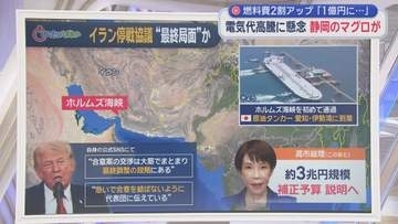 「企業努力じゃ追いつけない」　マグロ漁業会社…1回の航海の燃料代7～8000万→1億円　電気代も5年前の2倍　広がる中東ショック