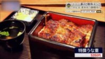 皮は香ばしく、身はほどける。清水で味わう関西流うなぎの真骨頂　静岡市「かん吉」