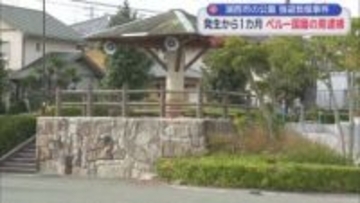 ５０代の女性がバッグを奪われ重傷を負った事件　ペルー国籍の男を強盗致傷の疑いで再逮捕　静岡・湖西市