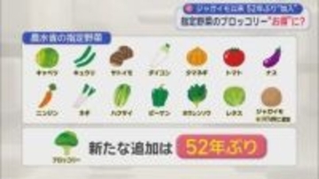 高タンパクで低カロリー・ブロッコリーが「指定野菜」に…そのメリットは　青果店「消費者も求めやすくなると思う」