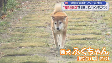 「殺処分ゼロ」を目指して！　静岡県動物愛護センター「しっぽのバトン」が富士市にオープン