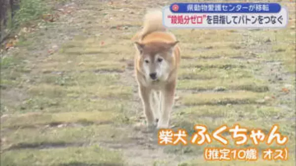 「殺処分ゼロ」を目指して！　静岡県動物愛護センター「しっぽのバトン」が富士市にオープン