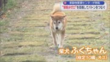 「殺処分ゼロ」を目指して！　静岡県動物愛護センター「しっぽのバトン」が富士市にオープン