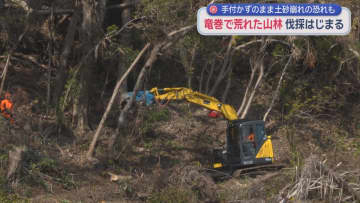 ２０２５年９月の竜巻被害から５カ月　その痕跡が生々しく残る山林の修復作業が始まる　静岡・牧之原市