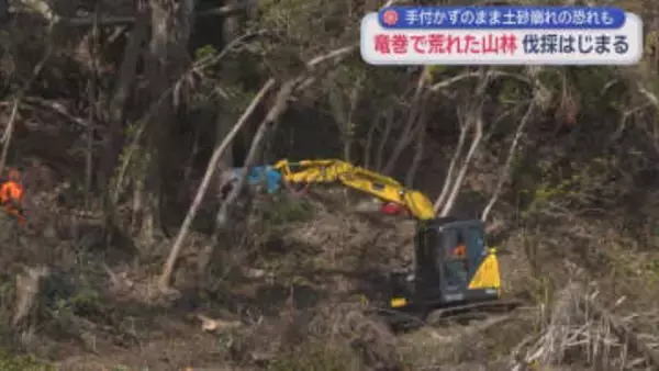 ２０２５年９月の竜巻被害から５カ月　その痕跡が生々しく残る山林の修復作業が始まる　静岡・牧之原市