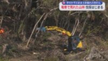 ２０２５年９月の竜巻被害から５カ月　その痕跡が生々しく残る山林の修復作業が始まる　静岡・牧之原市