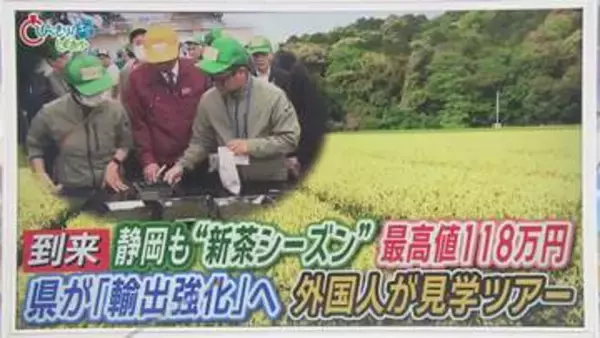 荒茶生産量トップ陥落の『静岡茶』4年で輸出1.5倍めざす　背景に海外の“抹茶ブーム”外国からの視察も