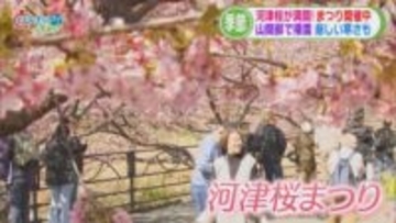 伊豆市で今年4回目の“野焼き”火災　静岡市の新スタジアムに大きな動き　特別国会召集、県内選出新人議員も　/5分でわかる今週の静岡