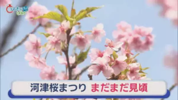 田久保前市長書類送検…“卒業証書”提出拒否　ぴよりん1年半ぶり静岡に　搭乗者数は目標の半数…静岡空港に厳しい声　/10分でわかる今週の静岡