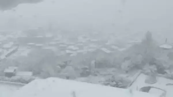 大雪で約100人が帰宅困難になり体育館に避難　トラックやタンクローリーが立ち往生　静岡・伊東市