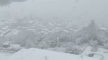 大雪で約100人が帰宅困難になり体育館に避難　トラックやタンクローリーが立ち往生　静岡・伊東市