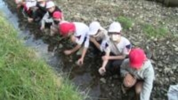 静岡・掛川市の「ホタルの里」で小学４年生が育ててきたホタルの幼虫を放流