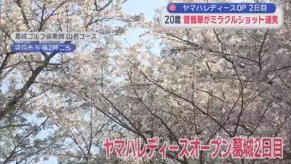 20歳・菅楓華がミラクルショット連発で首位　熱海出身・渡辺彩香は決勝進出　ヤマハレディースオープン葛城２日目　静岡・袋井市