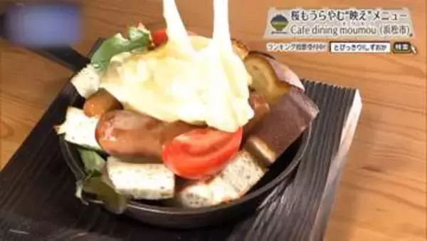 削る、溶かす、吸わせる。チーズの表情がひとつでは終わらない　浜松市「moumou」