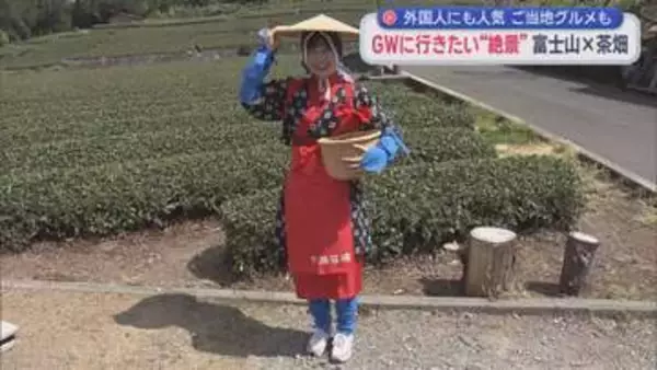 富士市の「大淵笹場」は人気の絶景スポット　「奇石博物館」で宝石を探し、ご当地グルメ「つけナポリタン」を味わう旅
