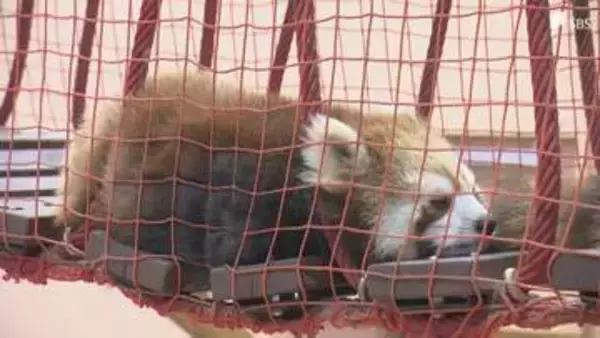 大型連休最終日 動物園や市場は笑顔で賑わい 物価高・原油高で「近場」志向も=静岡