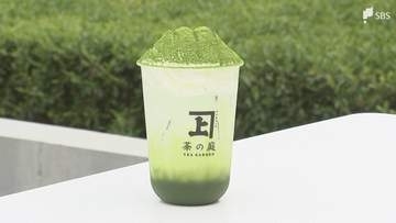 岐路に立つ静岡茶は変われるのか? カギは「グローバルな視点」  将来担う人たちが訴える意識改革の必要性＝静岡